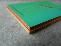 イナズマ流次の一手　2冊