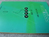 イナズマ流次の一手　2冊