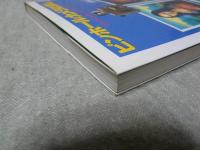 ピンホールカメラは楽し! : だれでも写せる"針穴写真"入門