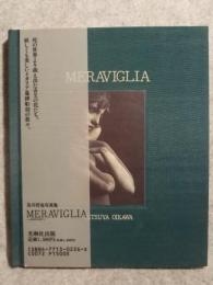Meraviglia : 及川哲也写真集