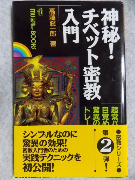 魅了 神秘!チベット密教入門 超常パワーが目覚める!驚異の実践