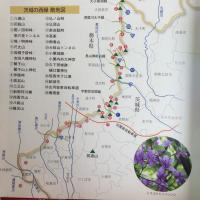 常陽藝文　県境2008年　茨城の西縁を行く