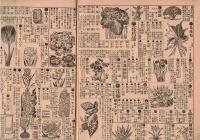 ※昭和六年春之部　農産種苗代価表　第325號