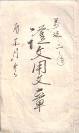 ※萬延二年　證文用文章 （借用申金子證文之事等契約書作成案内）