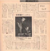 ※家庭と朝日新聞　お茶の間事典　第88号　ブレーキ革命ー高いが味なディスクブレーキ・アイソリップ放射線で“こびと”など
