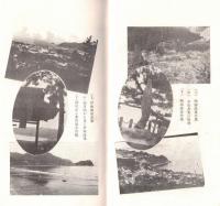 ※常春の温泉地伊豆半島の旅　附大島めぐり