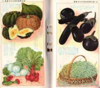 ※食欲をすゝめる夏のお惣菜と漬物　婦人倶楽部八月號附録