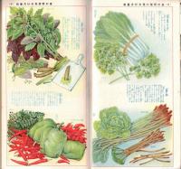 ※食欲をすゝめる夏のお惣菜と漬物　婦人倶楽部八月號附録