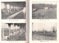 ※創立十年畜産試験場要覧　