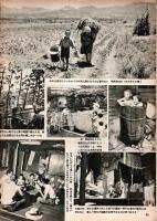 サンケイグラフ　1955年8月28日号　表紙：新珠三千代　明るく生きる大日向村開拓団・十年一昔＝貝谷八百子・心境を語る＝平林たい子ほか