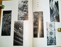 ※図案ライフ　No515・554・555号の3冊　米田健一・西村甚太郎・古山誠堂・山口晴司・林大功・尾崎要等図案アリ