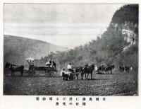 ※肥效彙報　第参號　非売品　栃木縣煙草作肥料試験地・静岡縣茶樹肥料試験地・福島縣蔬菜肥料試験地・愛知縣桑園肥料試験地等写真アリ