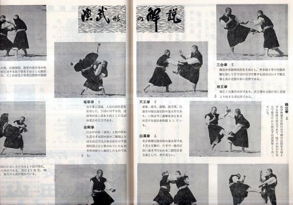 正統少林寺拳法教範 宗道臣 日本少林寺拳法連盟 正統少林寺拳法教範（宗道臣 著）