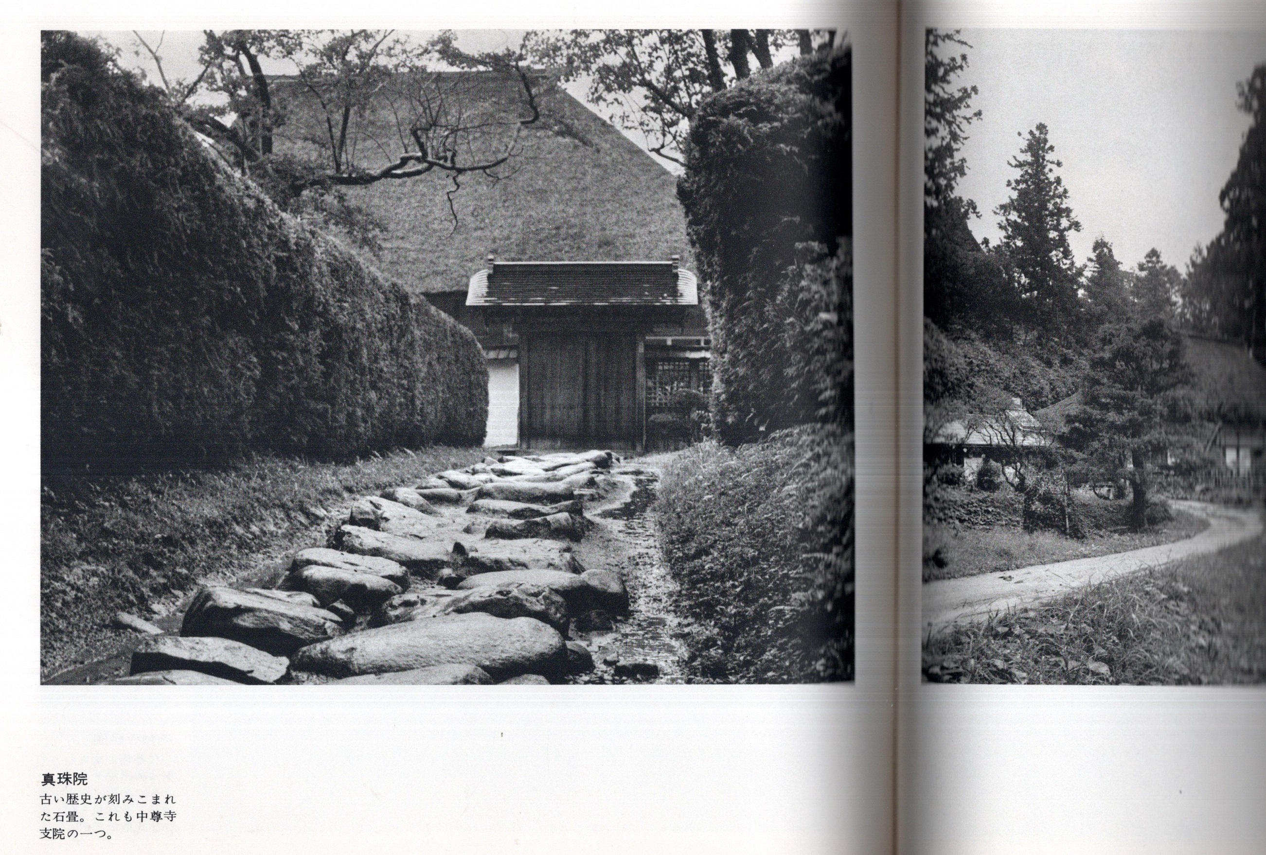 金色堂大修理落慶記念 天台宗東北大本山・中尊寺 貫主：今東光 修復を