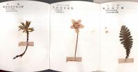 ※想い出の花とスタンプ帳　国立公園温根湯　８種類の押花折れ帖