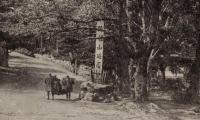 ※比叡山名勝記