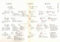 ※勝養寺物語　（真言宗豊山派・遠山直景創建・遠山氏、北条氏、太田氏系図附） 非売品