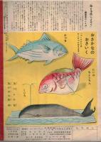 ※キンダーブック　第4集第5編　うみのこども　観察絵本　