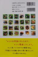 ナミテントウ虫の観察日記