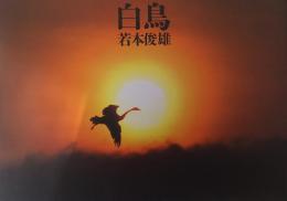 白鳥　岩本俊雄写真集