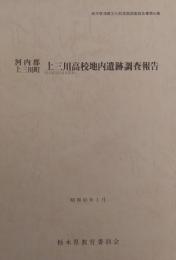 上三川高校地内遺跡調査報告 ＜栃木県埋蔵文化財発掘調査報告書 第65集＞