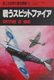 第二次世界大戦空戦録[8] 戦うスピットファイア