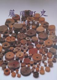 藤岡町史 資料編 考古