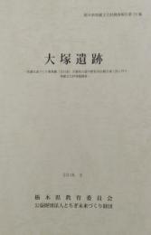 大塚遺跡　栃木県埋蔵文化財調査報告 第379集