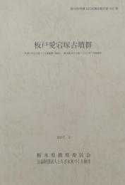 板戸愛宕塚古墳群　栃木県埋蔵文化財調査報告 第387集