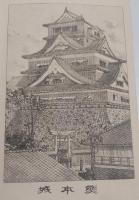 藎忠の光　一名谷村計介伝