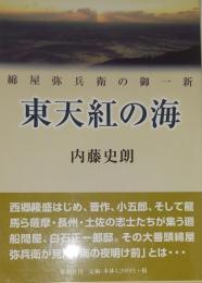 東天紅の海 : 綿屋弥兵衛の御一新