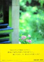 早乙女愛 写真集
