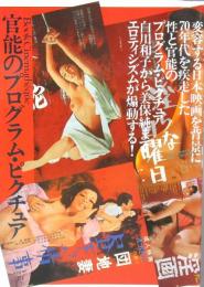 ロマンポルノ映画［官能のプログラム・ピクチュア］
