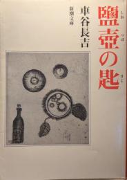 塩壷の匙
