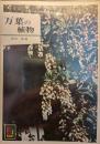万葉の植物 ＜カラーブックス＞ 第2版