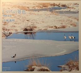 いのちの景色 釧路湿原