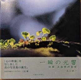 一瞬の光響 : 信州大自然の息吹