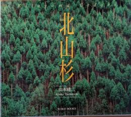 北山杉