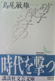 硝子障子のシルエット : 葉篇小説集