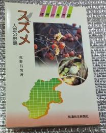 スズメ　人里の野鳥