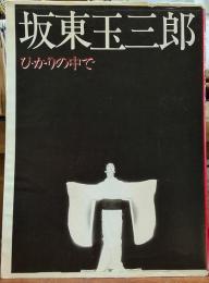 坂東玉三郎　ひかりの中で