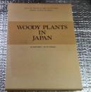 日本の樹木　WOODY PLANTS OF JAPAN　日本に見られる木本類の外部形態に基ずく総検索誌