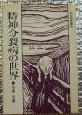 精神分裂病の世界 新装版