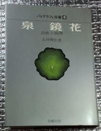 泉鏡花　芸術と病理　パトグラフィ双書５