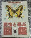 昆虫と遊ぶ図鑑