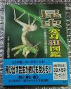 昆虫変身３Ｄ図鑑ー変態の決定的瞬間ー