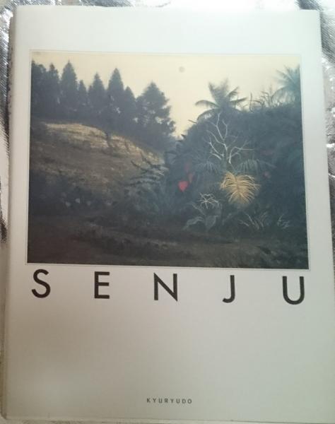 千住博画集 SENJU 求龍堂グラフィックス(千住博) / 古本