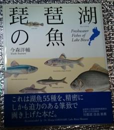 琵琶湖の魚 湖魚５５種