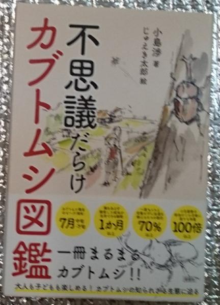 不思議だらけカブトムシ図鑑 小島渉 じゅえき太郎絵 善光洞山崎書店 古本 中古本 古書籍の通販は 日本の古本屋 日本の古本屋