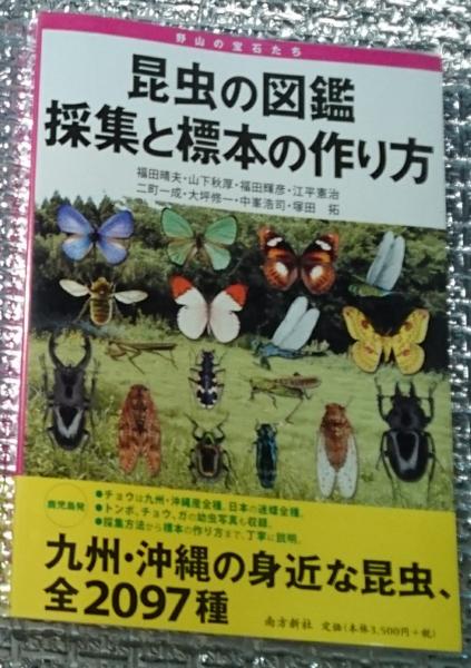 昆虫の図鑑 採集と標本の作り方 九州 沖縄全２０９７種 福田晴夫 山下秋厚 塚田拓他 善光洞山崎書店 古本 中古本 古書籍の通販は 日本の古本屋 日本の古本屋